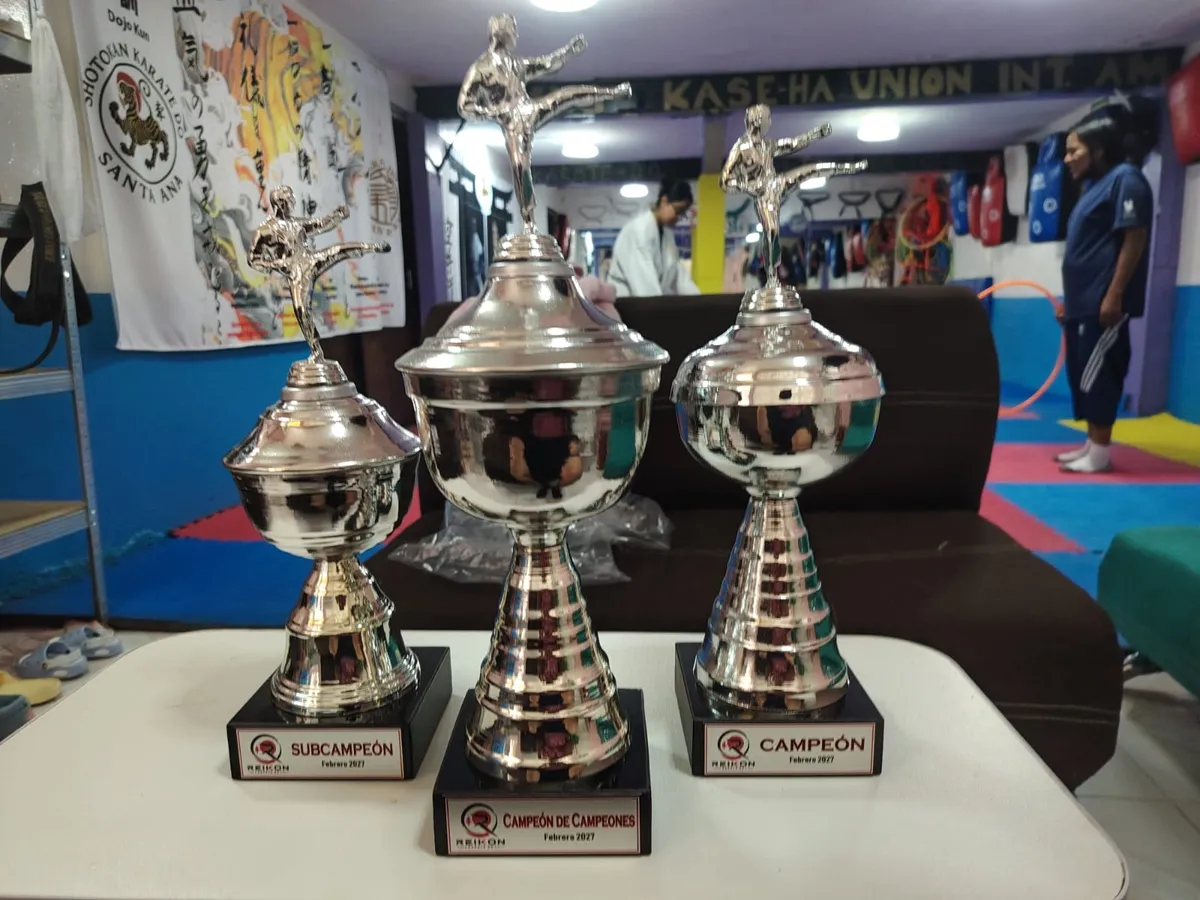 Copas de la Primera Copa Reikon para los dojos: Campeón de campeones, Campeón y Subcampeón